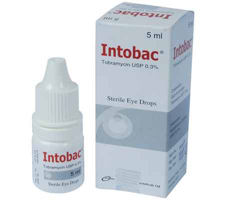 Picture of Intobac Eye Drop
